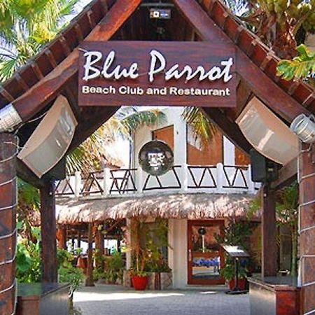 Blue Parrot Suites Playa del Carmen Kültér fotó