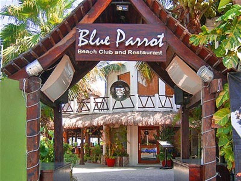 Blue Parrot Suites Playa del Carmen Kültér fotó